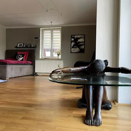Maisonette With Garden Apartment Karlovy Vary
