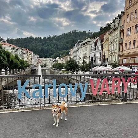 Maisonette With Garden Apartment Karlovy Vary